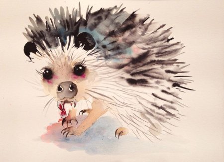 Ежиная Нора арт