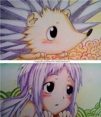 Милые Стикеры с ежом