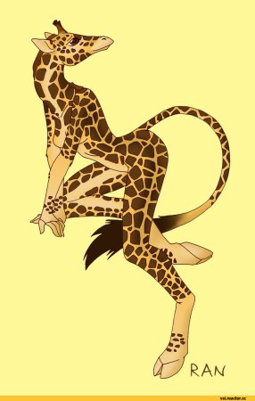 Жираф рисунок