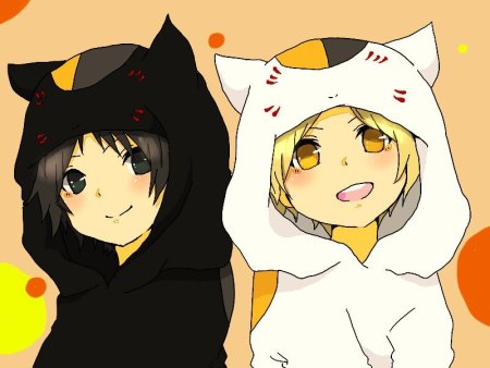 Аниме котики люди