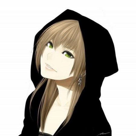 Аниме арты девушек в капюшоне