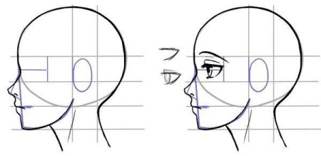 Рисование лица сбоку