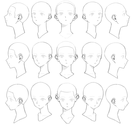 Голова сбоку референс