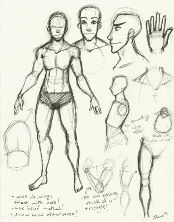 Анатомия мужчины для рисования