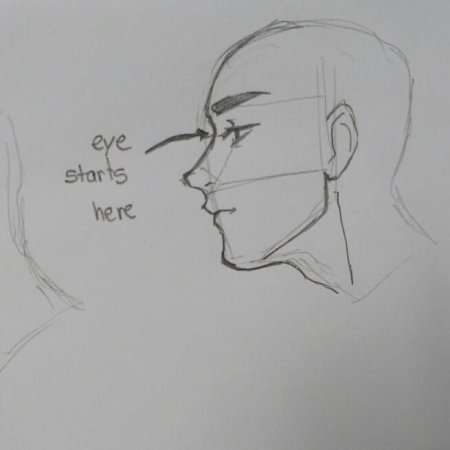 Профиль сбоку референс