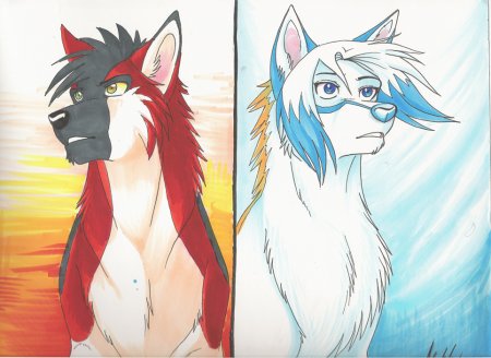 Волк Ассува