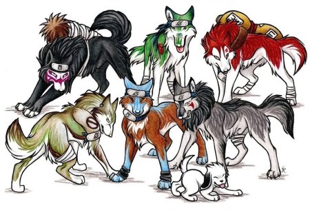 WILDSPIRITWOLF волки