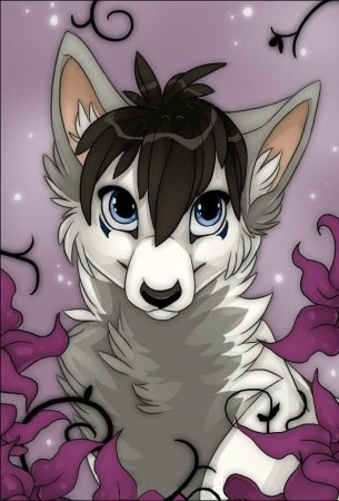 Милые волки аниме
