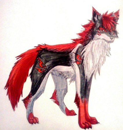 Красная волчица