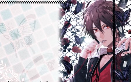 Амнезия / Amnesia (2013) anime