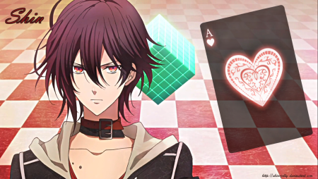 Шин амнезия