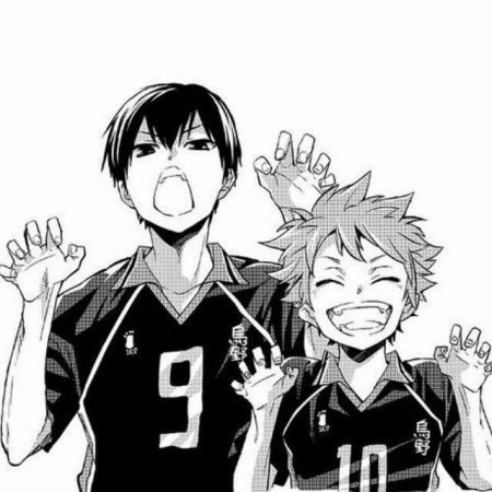 Хината из манги волейбол