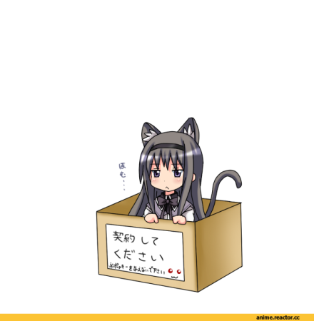 Аниме неко в коробке