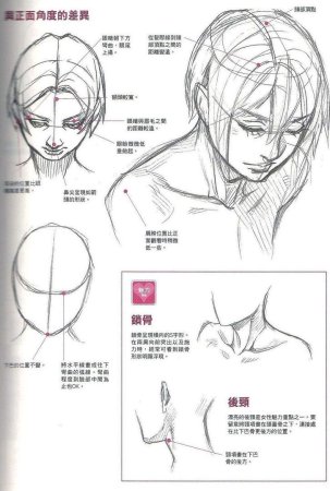 Тутор по рисованию тела и головы