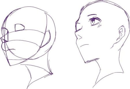 Голова сбоку референс аниме