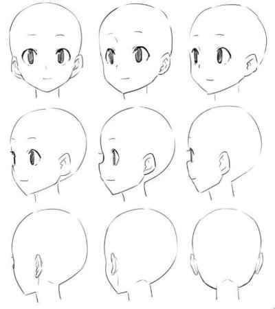 Референс головы с боку