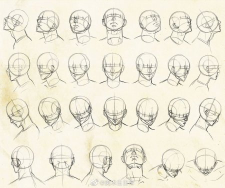 Голова сзади референс