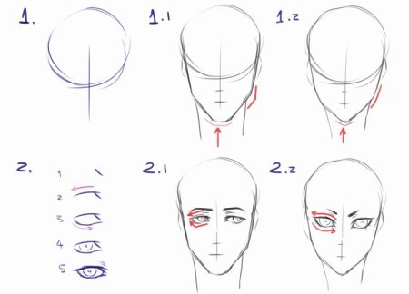 Анатомия головы для рисования аниме