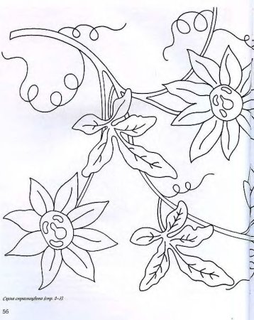 Рисунки для вышивки белой гладью