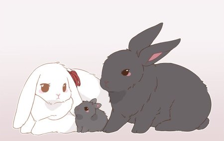 Аниме кролик