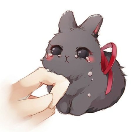 Магистр дьявольского культа кролики