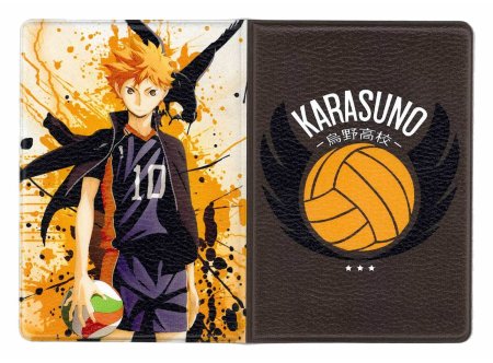 Хината волейбол обложка