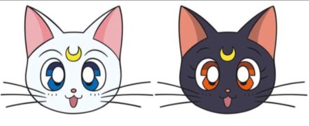 Мордочка кошки сейлормун