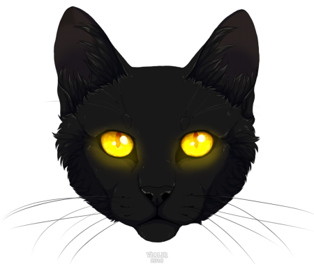 Голова кошки