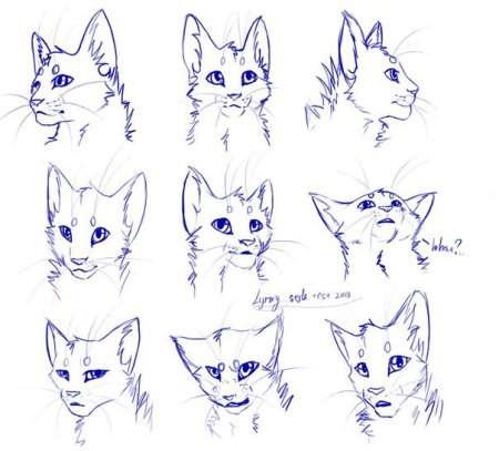 Эмоции котов воителей референс