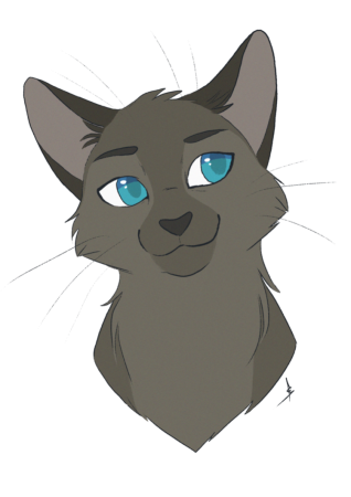 Варриор кэтс