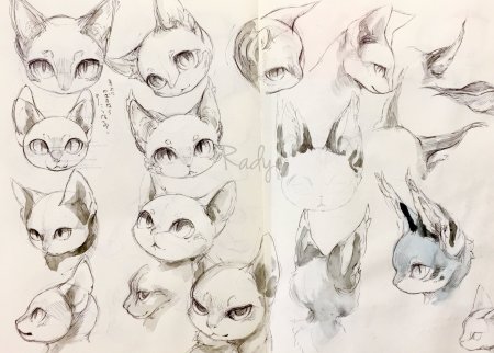 Кошка с разных ракурсов