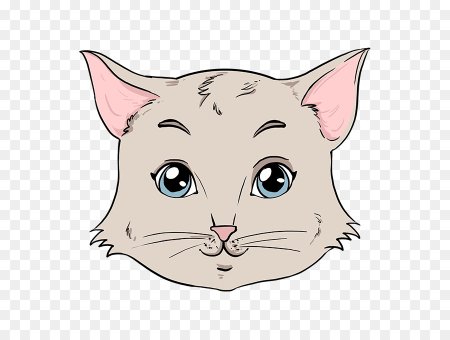 Морда кошки рисунок