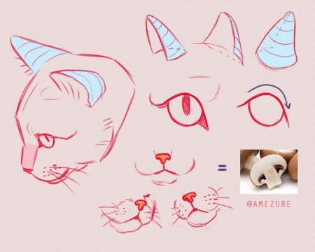 Кошачья морда сбоку референсы