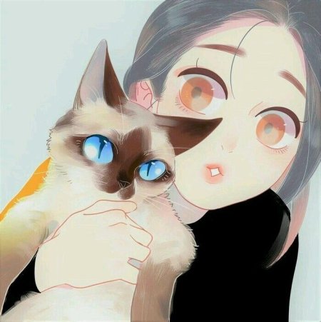 Аниме девочки котики