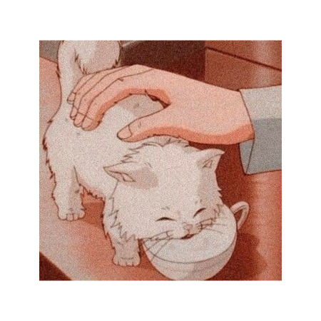 Кота гладят по голове