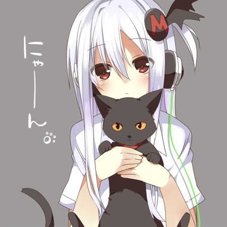 Кот тян