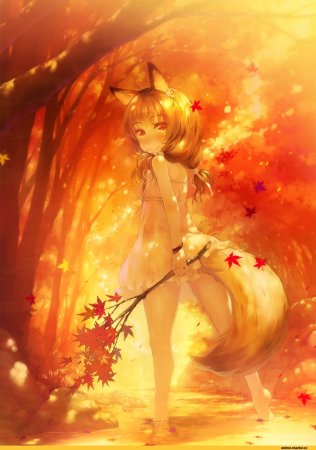 Гинко аниме лисица