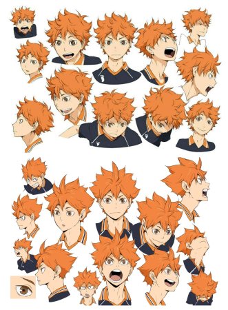 Хината шоё голова