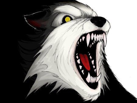 Волк агрессия