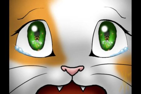 Brightpaw коты Воители