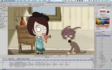 Аниме студио про