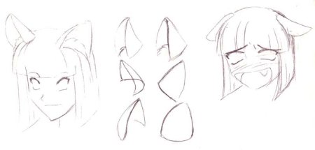 Референсы кошачьих ушей