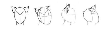 Кошачьи уши референс сбоку