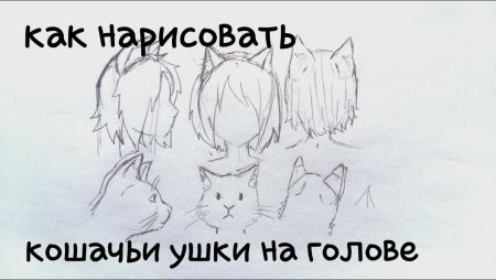 Как рисовать кошачьи уши