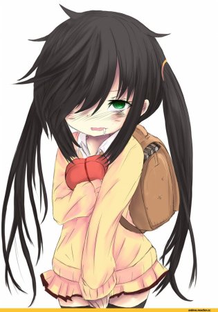 Аниме Watashi ga Motenai