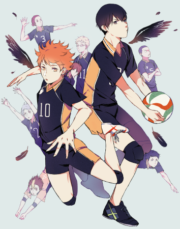 Волейбол персонажи Карасуно Хината