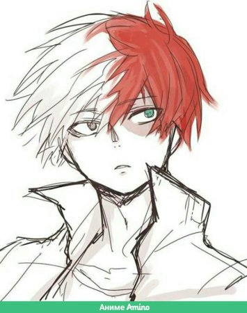 Шото Тодороки скетч