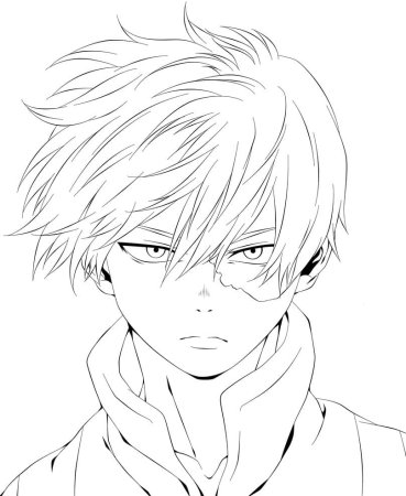 Тодороки шото черно белый