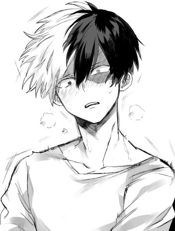 Тодороки шото Манга