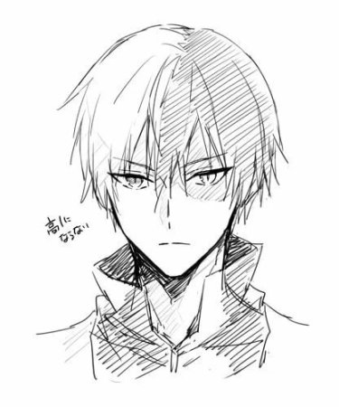 Тодороки скетч